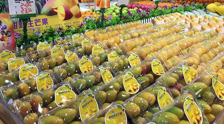 热烈庆祝绿叶水果浏阳北盛店盛大开业